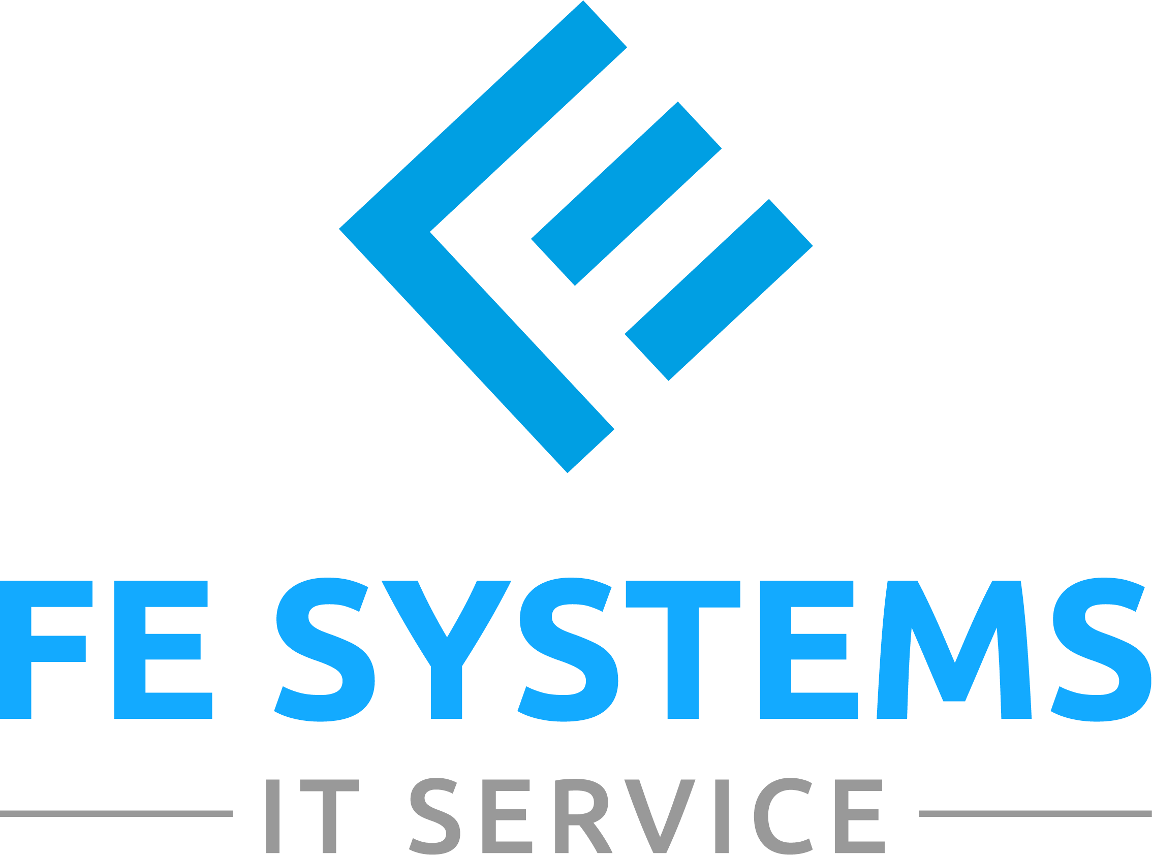 FE Systems – IT Service Nürnberg